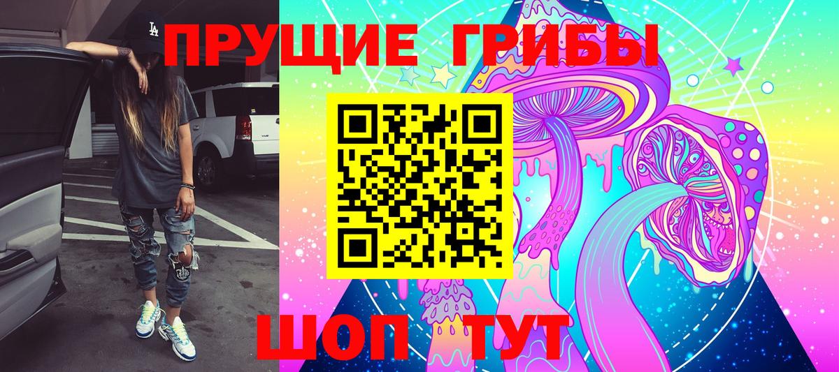 наркошоп  Вход с VPN  Гатчина  Галлюциногенные грибы Psilocybine cubensis 